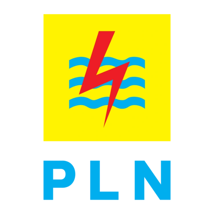 Customer Experience Synergy Training di PLN